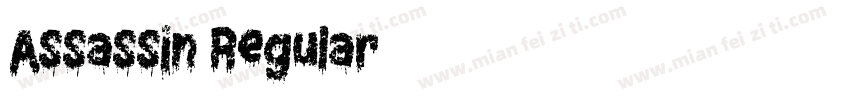 Assassin Regular字体转换